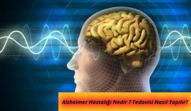 Alzheimer nedir? Alzheimer belirtileri ve tedavisi