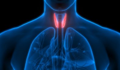 Tiroid nedir? Tiroid Belirtileri, Tiroid Hastalıkları Tedavisi