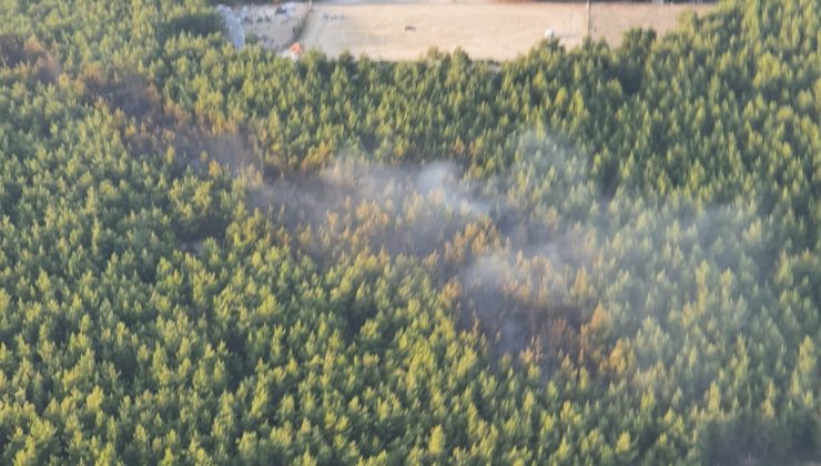 İzmir Gaziemir’de çıkan orman yangını kontrol altına alındı .