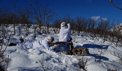 Eren Kış-16 Bingöl-Sağgöze Şehit Jandarma Binbaşı Adil Karagöz Operasyonu Başlatıldı