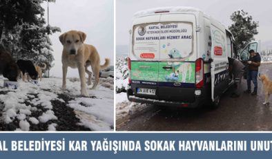 Kartal Belediyesi, kar yağışından etkilenen sokak hayvanlarını unutmadı