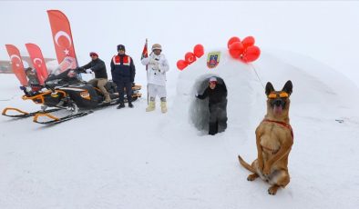 Hakkari’de Jandarma ve Polisin Yaptığı İglolar Kar Festivalini Renklendirdi
