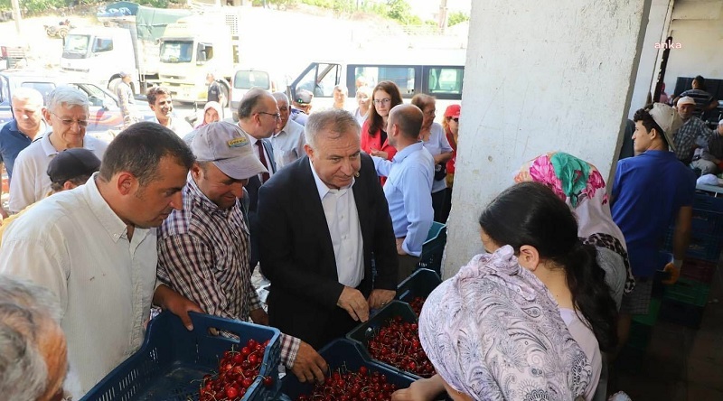 Manisalı Kiraz Üreticileri: “Geçen Sene 1 Kilo Kirazla 2,5 Litre Mazot Alırken Bu Sene 1 Litre Alamıyoruz”