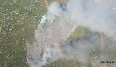 İzmir Karaburun’da Orman Yangını