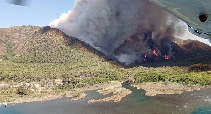 Marmaris’te Denize Yakın Ormanlık Alanda Yangın Başladı