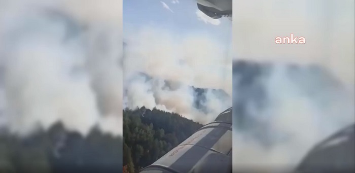 Son Dakika: İzmir Bergama’da Orman Yangını Çıktı !
