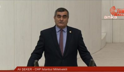 CHP İstanbul Milletvekili Ali Şeker: “2021 Yılında 15 Yaş Altındaki 117 Çocuk Doğum Yaptı