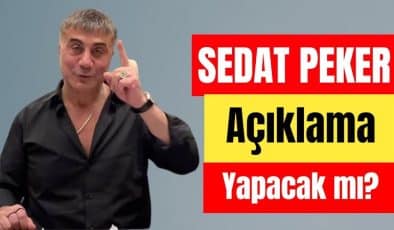 Sedat Peker’in Avukatı Açıkladı: Seda Peker Yeniden Paylaşım Yapacak Mı ?