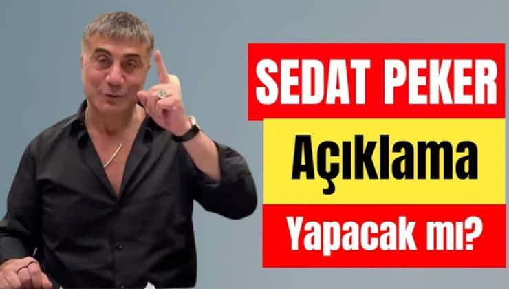 Sedat Peker’in Avukatı Açıkladı: Seda Peker Yeniden Paylaşım Yapacak Mı ?