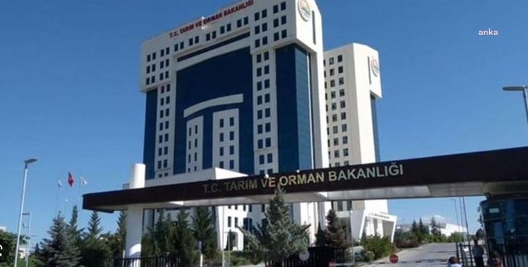 Tarım ve Orman Bakanlığı’ndan Soğan Açıklaması