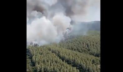 Bodrum Havalimanı Kavşağında Orman Yangını: Bodrum Belediye Başkanı Ahmet Aras Açıklama Yaptı