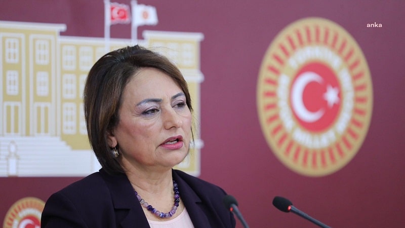 CHP’li Müzeyyen Şevkin, ülkede bireysel silahlanmanın artış gösterdiğini belirterek Meclis araştırması açılmasını istedi.