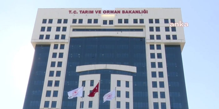 Tarım ve Orman Bakanlığı’nda 9 üst düzey bürokrat görevden alındı…