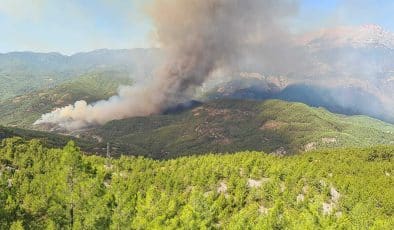 Alanya’da orman yangını, Tarım ve Orman Bakanı İbrahim Yumaklı’dan açıklama