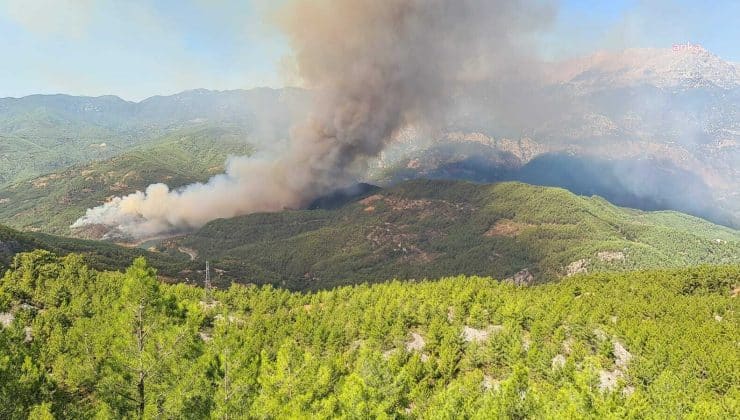 Alanya’da orman yangını, Tarım ve Orman Bakanı İbrahim Yumaklı’dan açıklama