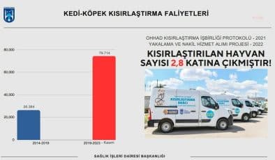 Ankara Büyükşehir Belediyesi: “4,5 yılda 79 bin 714 sokak hayvanına kısırlaştırma işlemi uygulanmıştır.