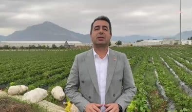 CHP’li Erhan Adem’den deprem bölgesinde narenciye üreticisine 1 TL desteğe tepki