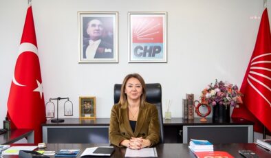 CHP Genel Başkan Yardımcısı Gül Çiftçi Binici: ‘Seçmen listelerini kontrol edin’