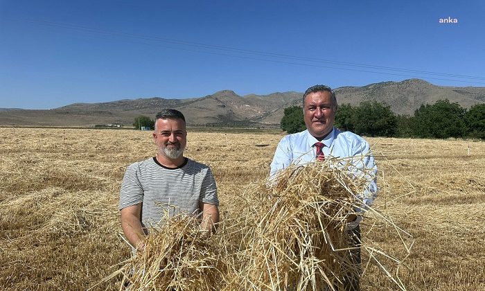 CHP’li Ömer Fethi Gürer: Anız yakılması ormanı yakıyor yetmiyor doğa dengesini de bozuyor