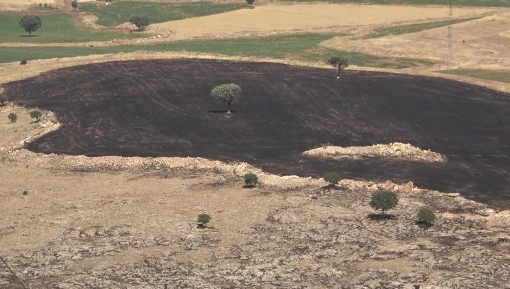 Diyarbakır ve Mardin arasında çıkan yangında soğutma çalışmaları tamamlandı