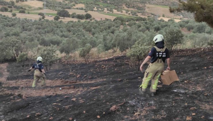 İstanbul İtfaiyesi ekipleri, Çanakkale’deki yangını söndürmek için destek verdi