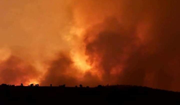 KESK’ten Diyarbakır-Mardin yangıyla ilgili açıklama
