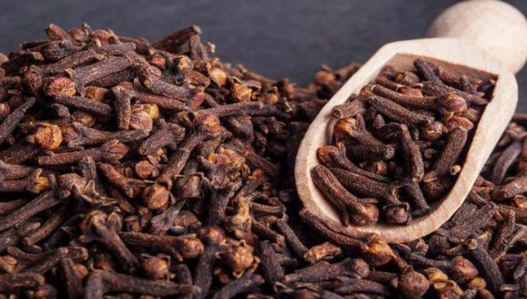 Karanfilin Faydaları: Doğanın Mucizesi