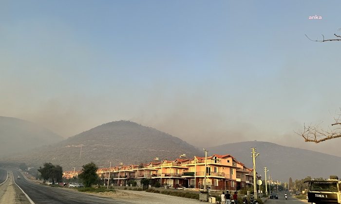 Kuşadası’nda konutları orman yangına yakın olan vatandaşlara tahliye çağrısı