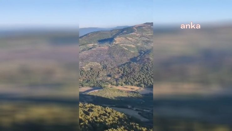 Orman Genel Müdürlüğünden Bergama ve Büyükohnan’daki yangınlar hakkında açıklama