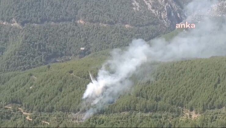 Son Dakika…. Manavgat’ta orman yangını çıktı