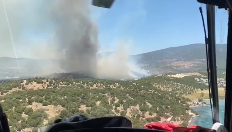 Son Dakika…. Muğla Milas’ta orman yangını
