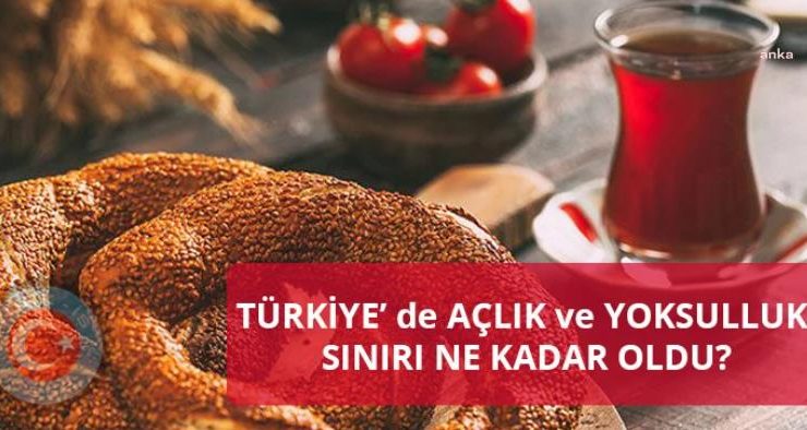 Açlık-yoksulluk Temmuz 2024 araştırmasında çarpıcı sonuçlar