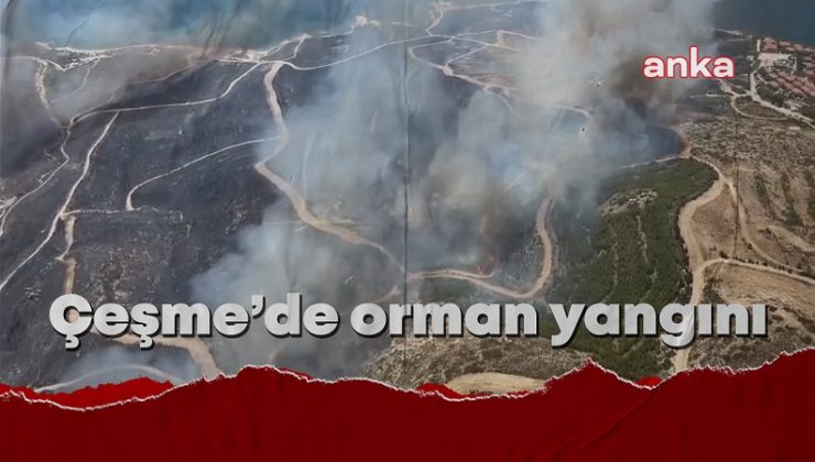 Çeşme’de Orman Yangını Ölü Ve Yaralılar Var…