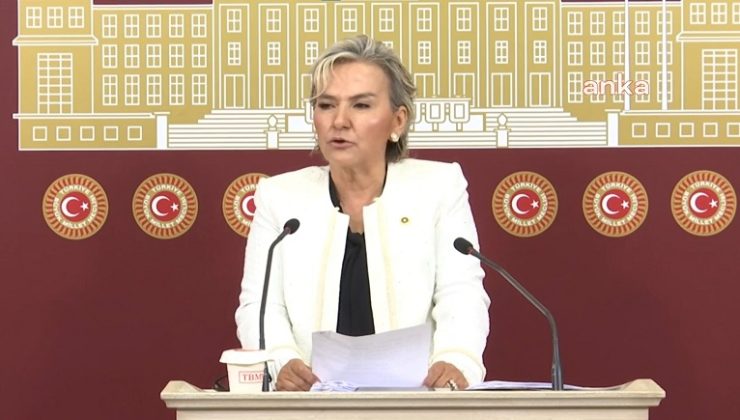 İYİ Parti İstanbul Milletvekili Nimet Özdemir partisinden istifa etti