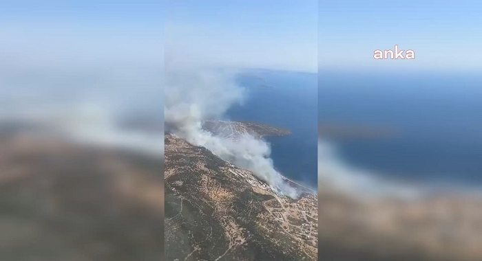 İzmir Dikili’de Orman Yangını
