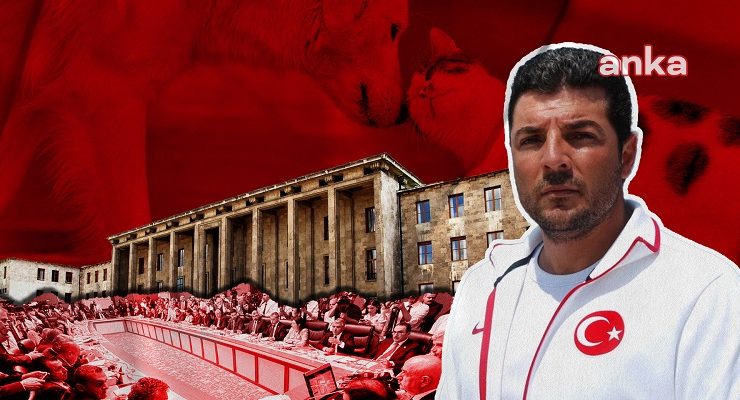 Milli yüzücü Alper Sunaçoğlu, hayvanlara “ötanazi” teklifini protesto etmek için açlık grevine başlayacağını açıkladı