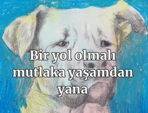 Sezen Aksu ve Ceylan Ertem ‘Ötanazi’ teklifine karşı söyledi: “Bizi Unutma”