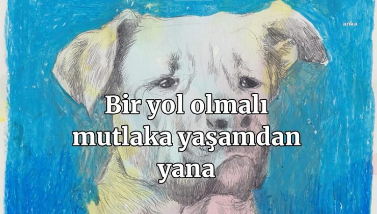 Sezen Aksu ve Ceylan Ertem ‘Ötanazi’ teklifine karşı söyledi: “Bizi Unutma”