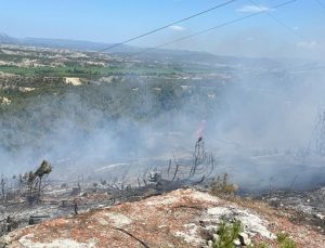 Sinop’ta Orman Yangını