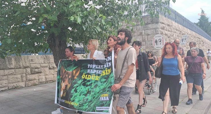 Sokak hayvanlarının “uyutulması” düzenlemesine TBMM önünde protesto