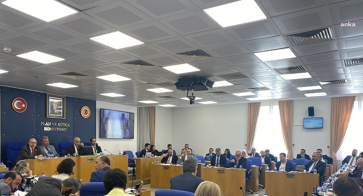 Sokak hayvanlarıyla ilgili kanun teklifinin görüşmeleri ertelendi, ilk 7 madde kabul edildi