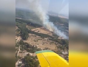 Son Dakika….. İzmir Buca’da Orman Yangını Çıktı