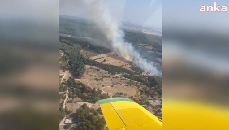 Son Dakika….. İzmir Buca’da Orman Yangını Çıktı