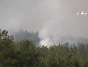 Son Dakika…. İzmir’in Buca ilçesinde orman yangını