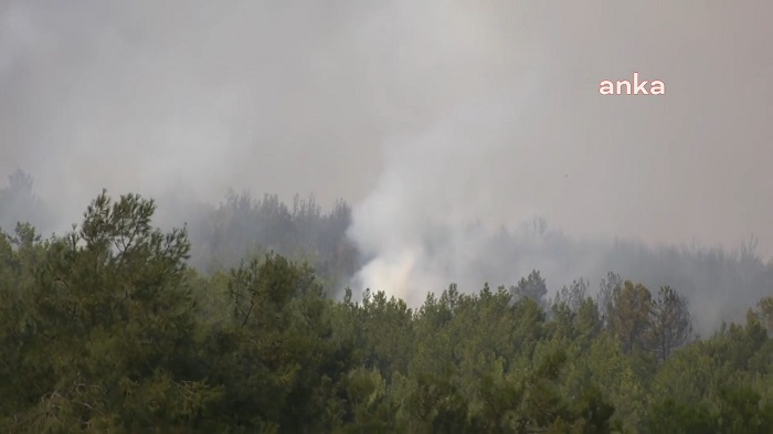 Son Dakika…. İzmir’in Buca ilçesinde orman yangını