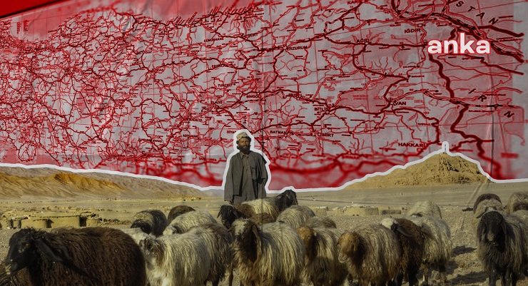 Türkiye “yabancı çoban” istihdamına hazırlanıyor….