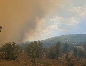 Ankara-Bolu arasındaki yangın sürüyor: Yayla evleri yandı, inekler kaçarak kurtuldu