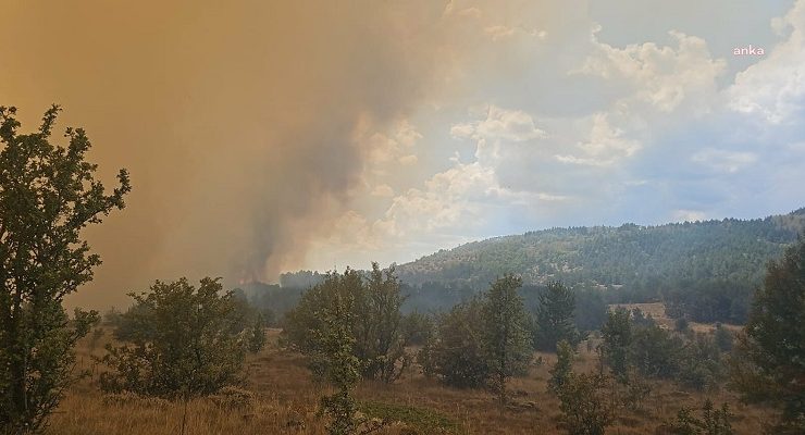 Ankara-Bolu arasındaki yangın sürüyor: Yayla evleri yandı, inekler kaçarak kurtuldu
