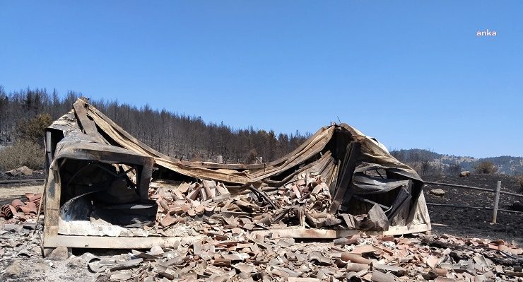 Ankara-Bolu sınırındaki Demirler köyü yakınında 13 yayla evi ve bir cami yandı