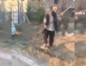 Ankara Polatlı’da bir vatandaş, yavru köpeği dirgenle öldürdü. Jandarma’dan açıklama